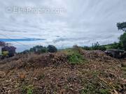 Terrain à SAINTE-MARIE