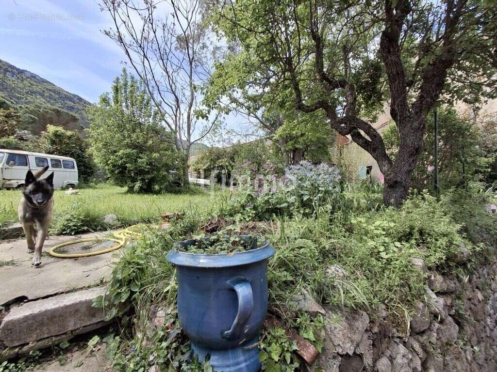 Maison avec jardin - photo 13