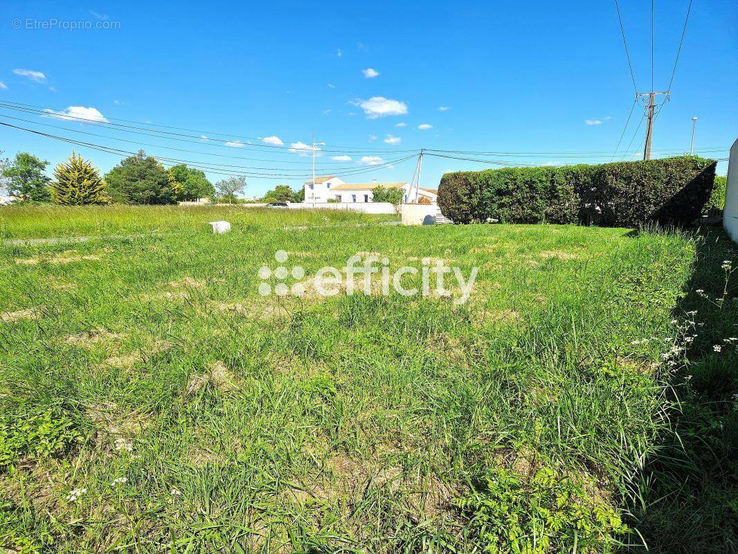 Terrain à SAINT-PIERRE-D&#039;OLERON