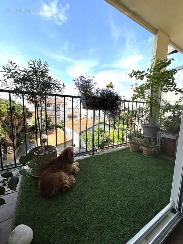 Appartement à SETE