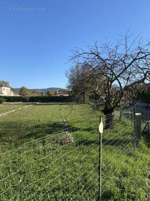 Terrain à SAINT-CEZAIRE-SUR-SIAGNE