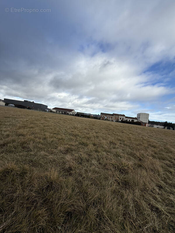 Terrain à SAINT-PAL-DE-MONS