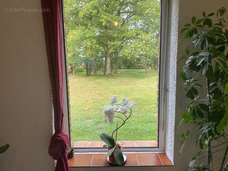 Maison à MONT-NOTRE-DAME