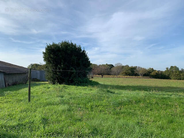 Maison à SAINT-THOMAS-DE-CONAC