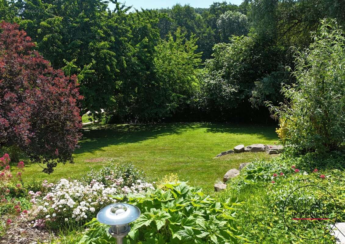 Maison 175 m² à Mollkirch  - photo 6