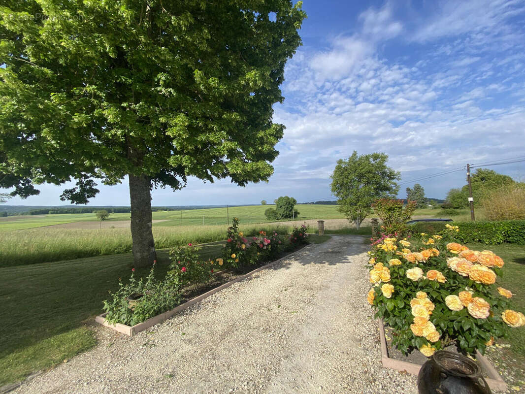 allee - Maison à SAINT-QUENTIN-DE-CHALAIS