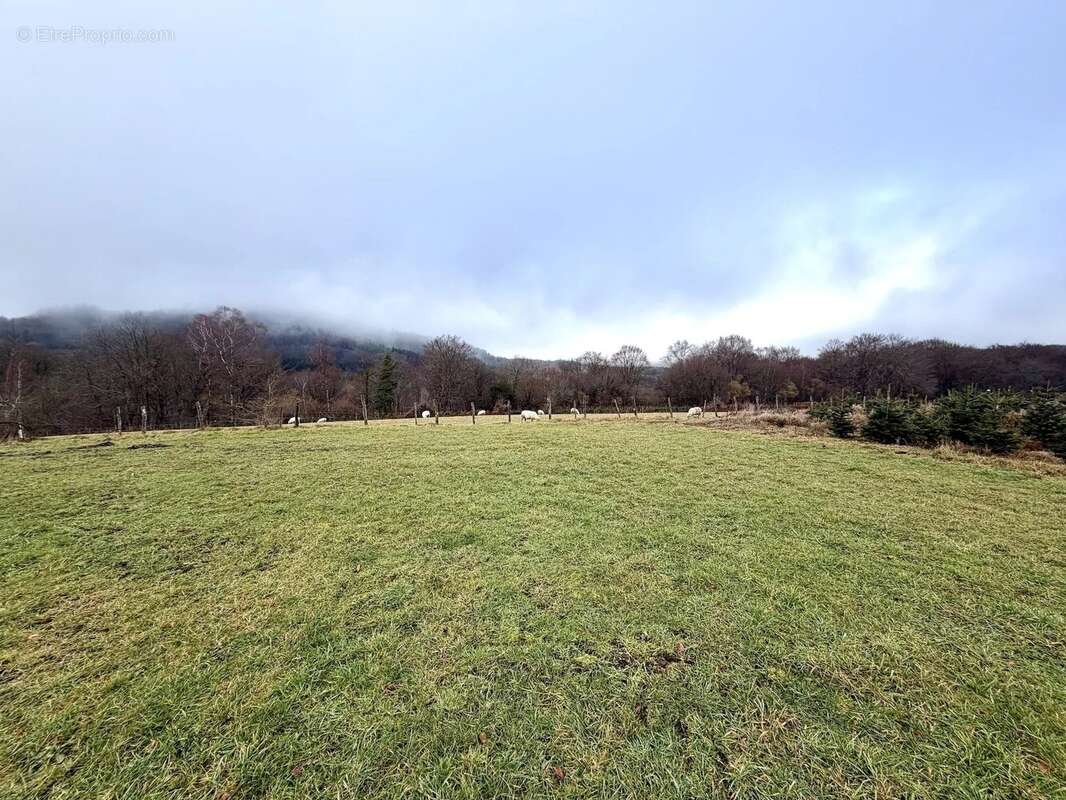 Maison à DUN-LES-PLACES