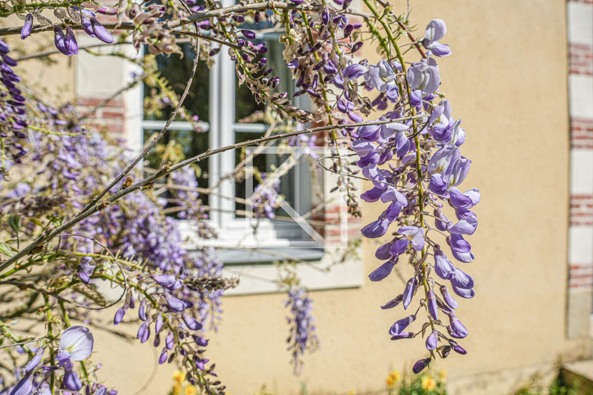 Maison à LOIGNE-SUR-MAYENNE