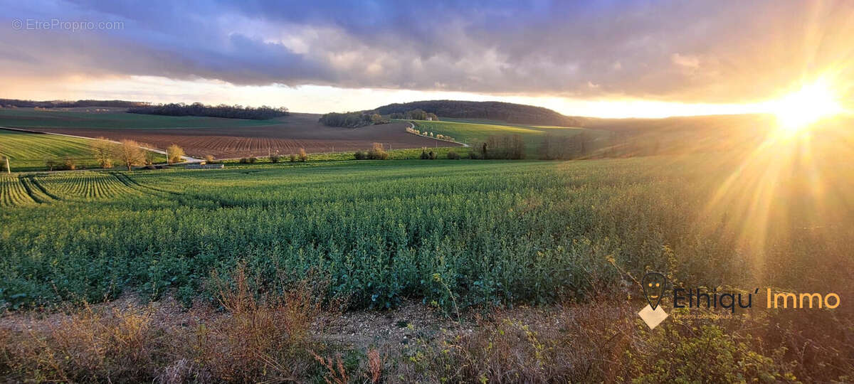 Terrain à SONCOURT-SUR-MARNE