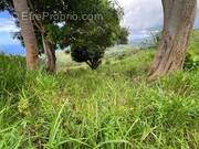 Terrain à LE MORNE-VERT