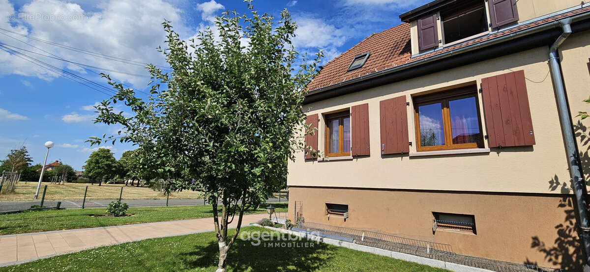 Maison mitoyenne des mines à Wittenheim - photo 8