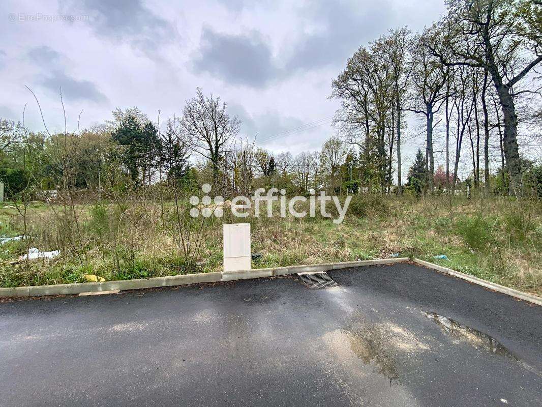 Terrain à VILLEMANDEUR