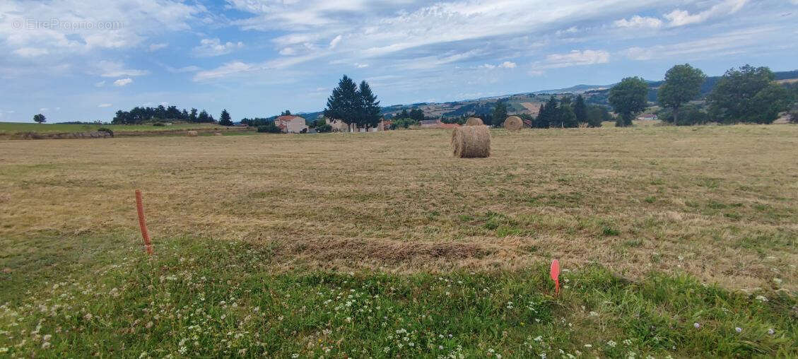 Terrain à CHAMBON-LE-CHATEAU