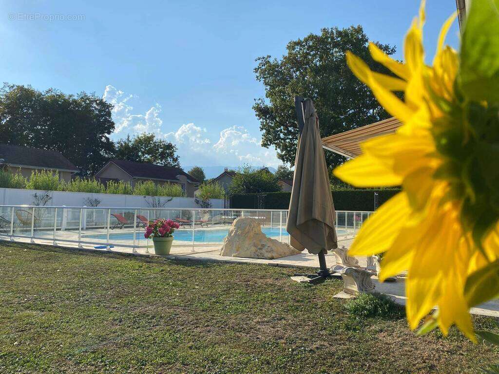 Maison à PREVESSIN-MOENS