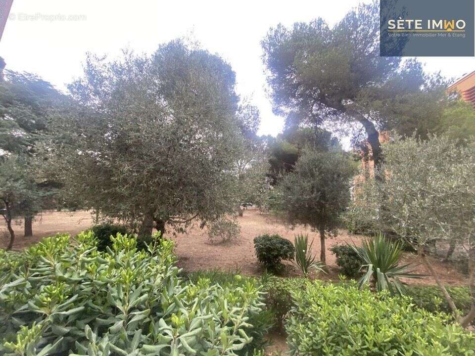 Appartement à SETE