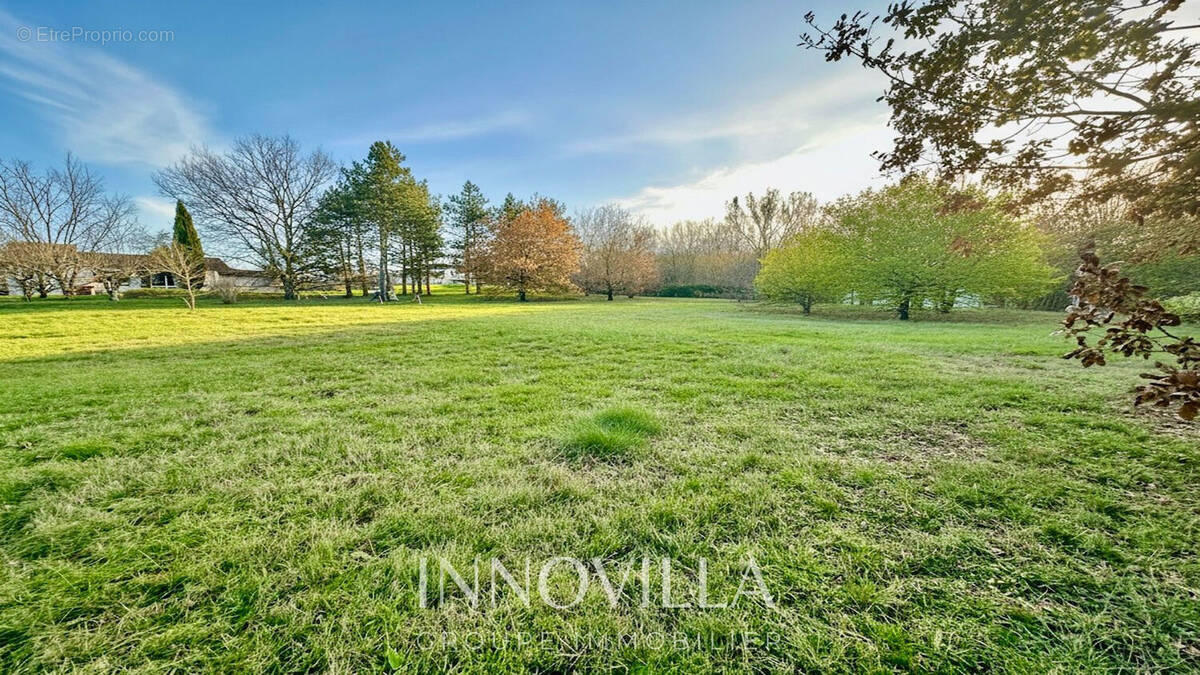 Terrain à MONTBERON