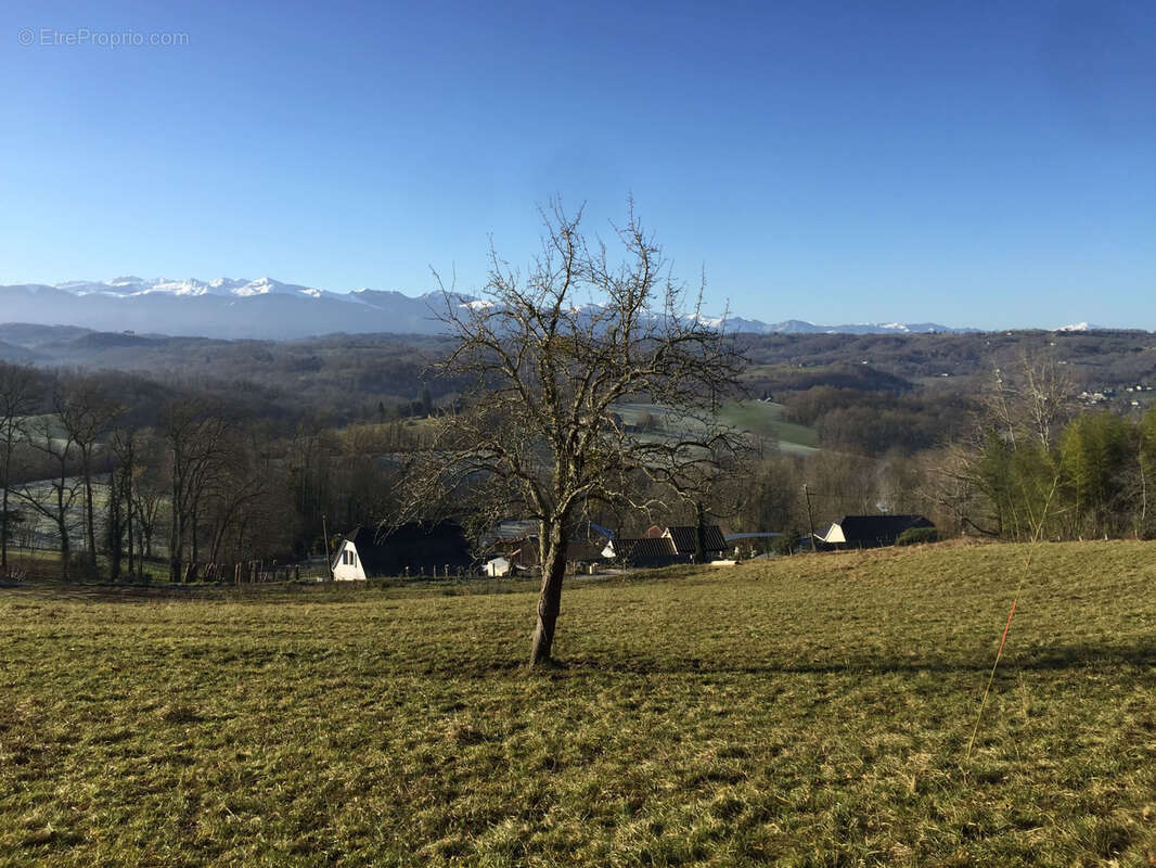 Parcelle de terrain à bâtir, sur la commune de LASSEUBE. - photo 6