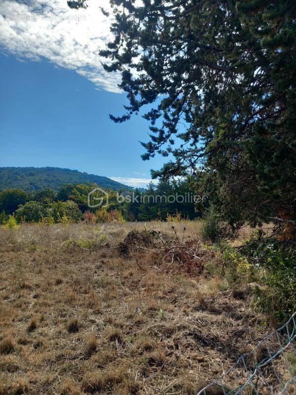 Terrain à CLERMONT-L&#039;HERAULT