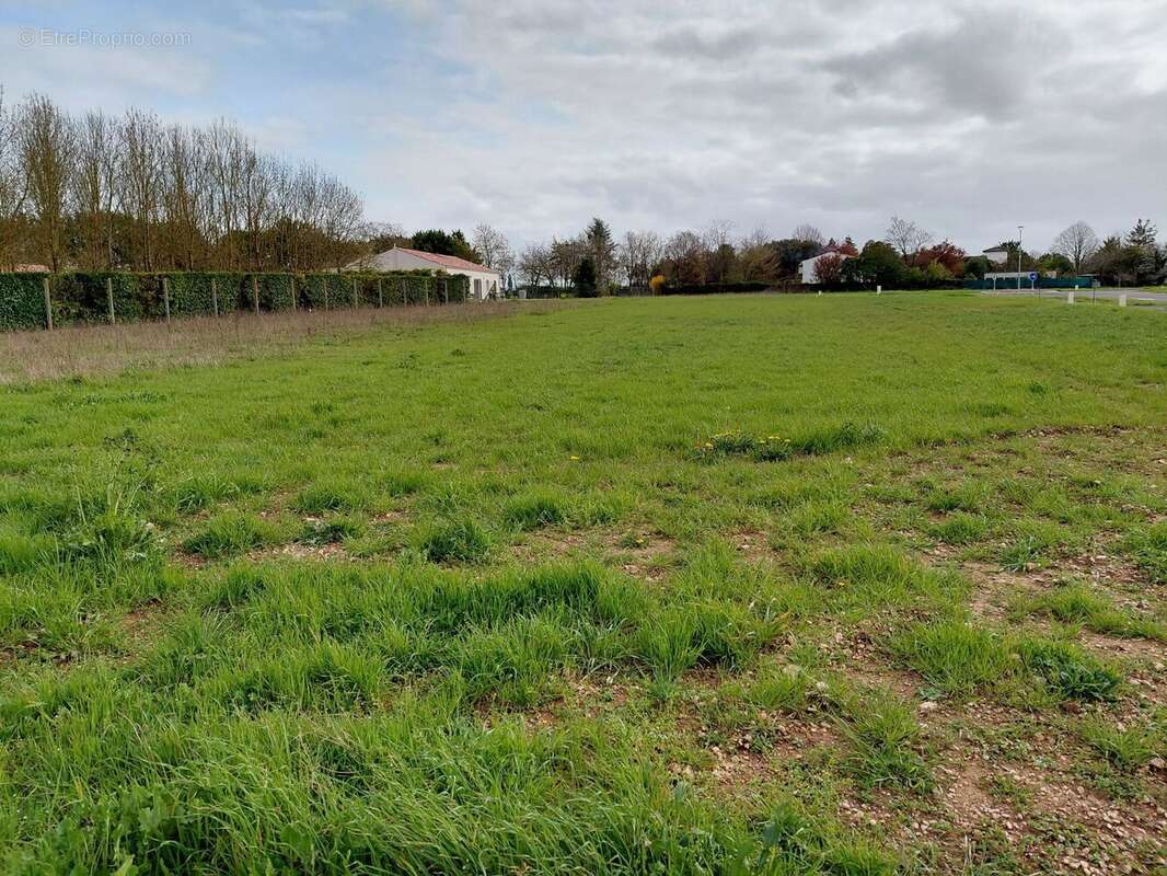 Terrain à VERVANT