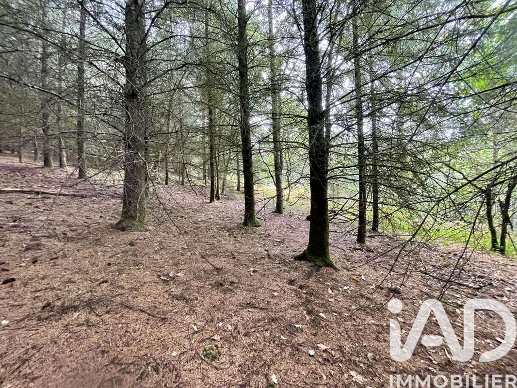 Photo 5 - Terrain à NEDDE