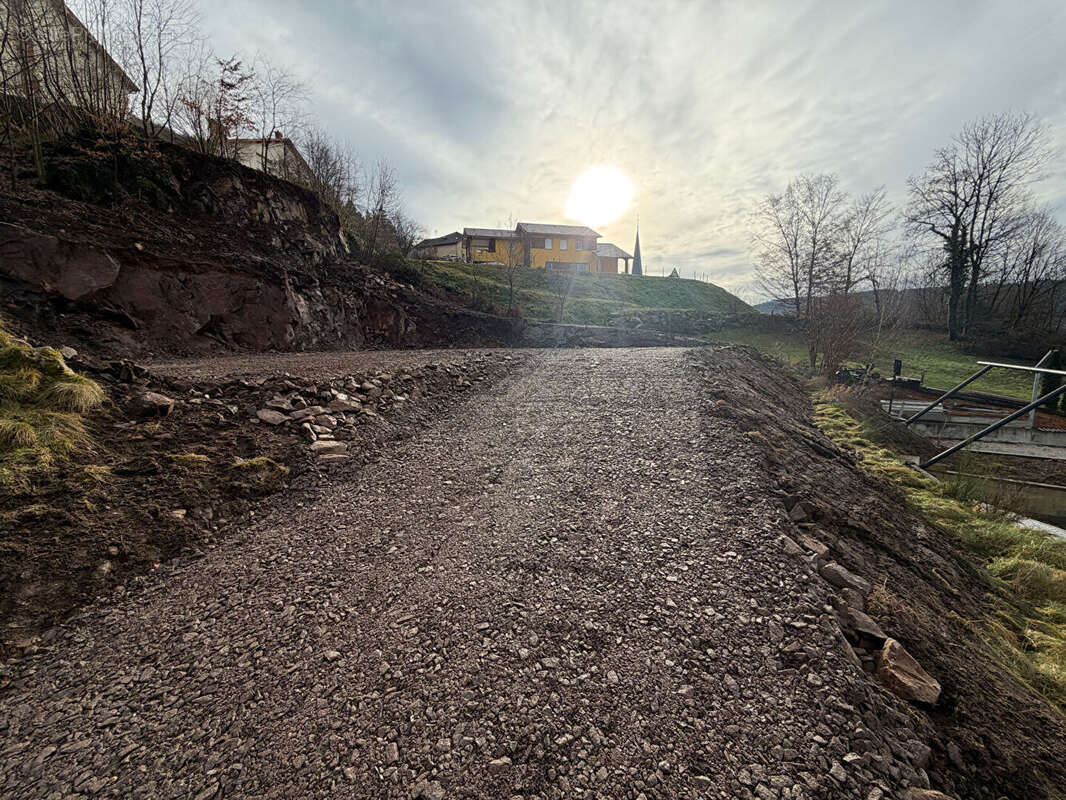 Terrain à RUPT-SUR-MOSELLE