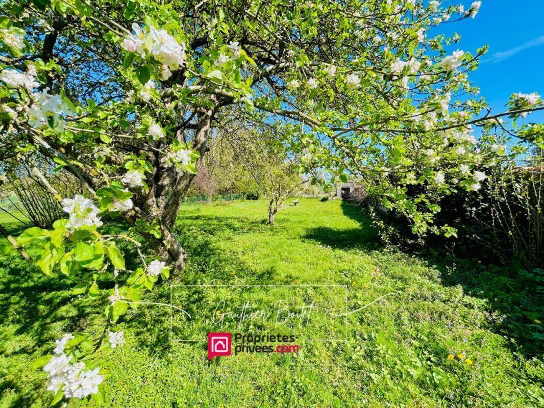 Maison à COULOMMIERS