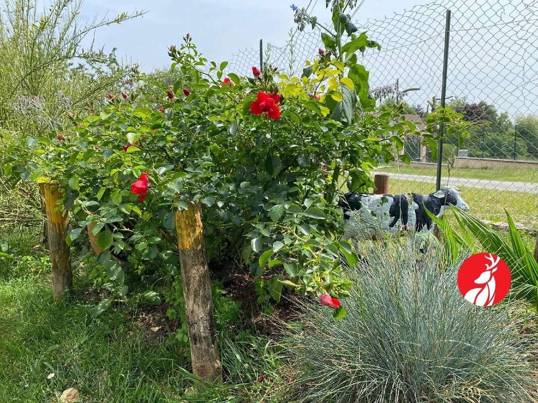 Maison à FONTAINEBLEAU
