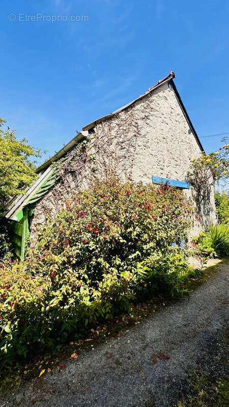 Maison à LE FAOU