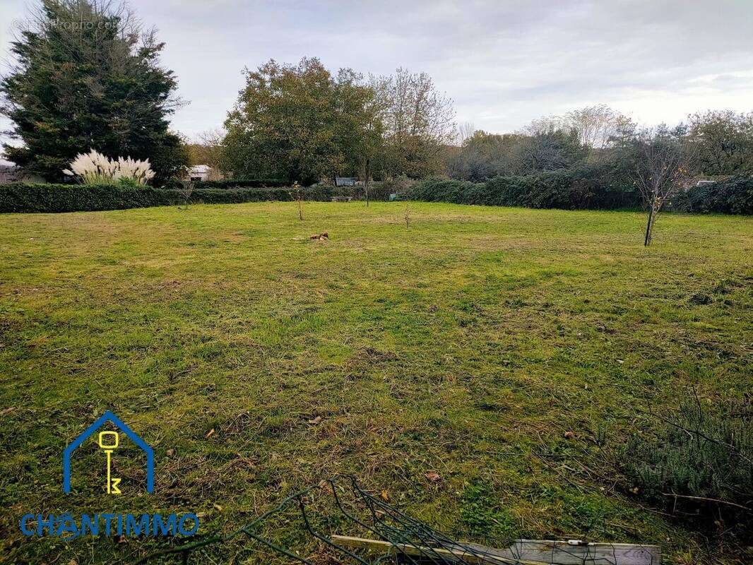 Terrain à SAINT-LAURENT-DE-LA-SALLE