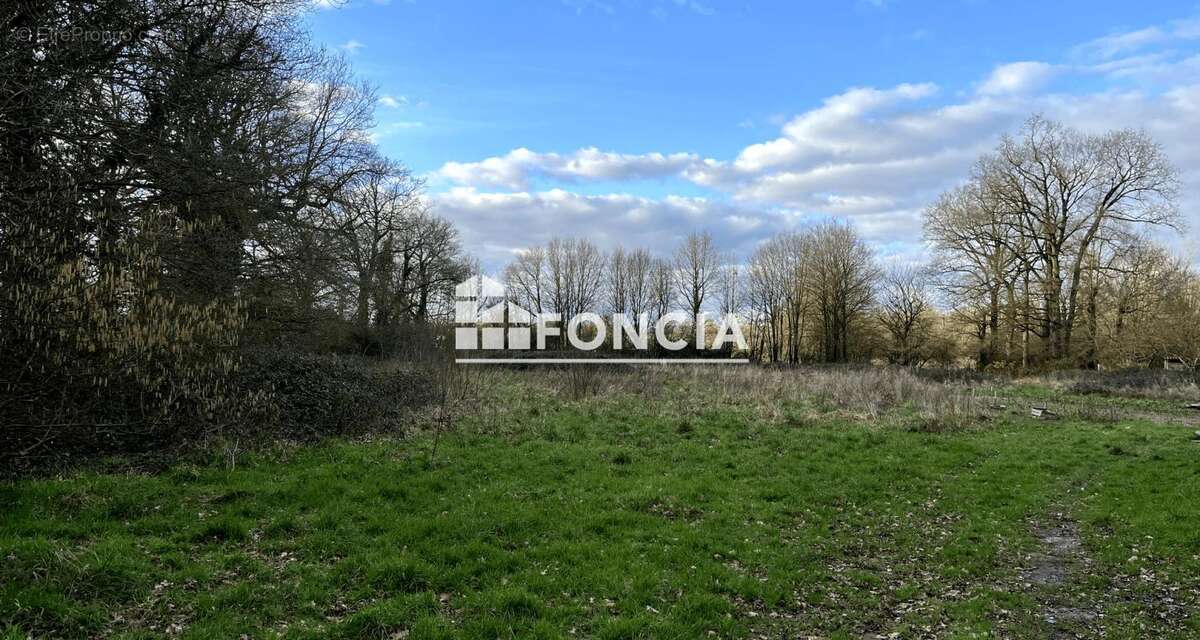 Terrain à NOYAL-CHATILLON-SUR-SEICHE
