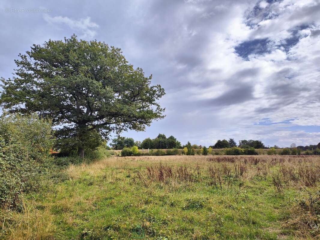 Grande propriété rénovée avec gîtes et 5 hectares de terrain aux portes de Tours - photo 23