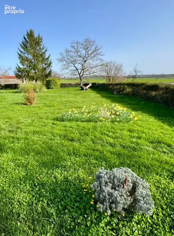 Terrain à SAINT-SEURIN-DE-PALENNE