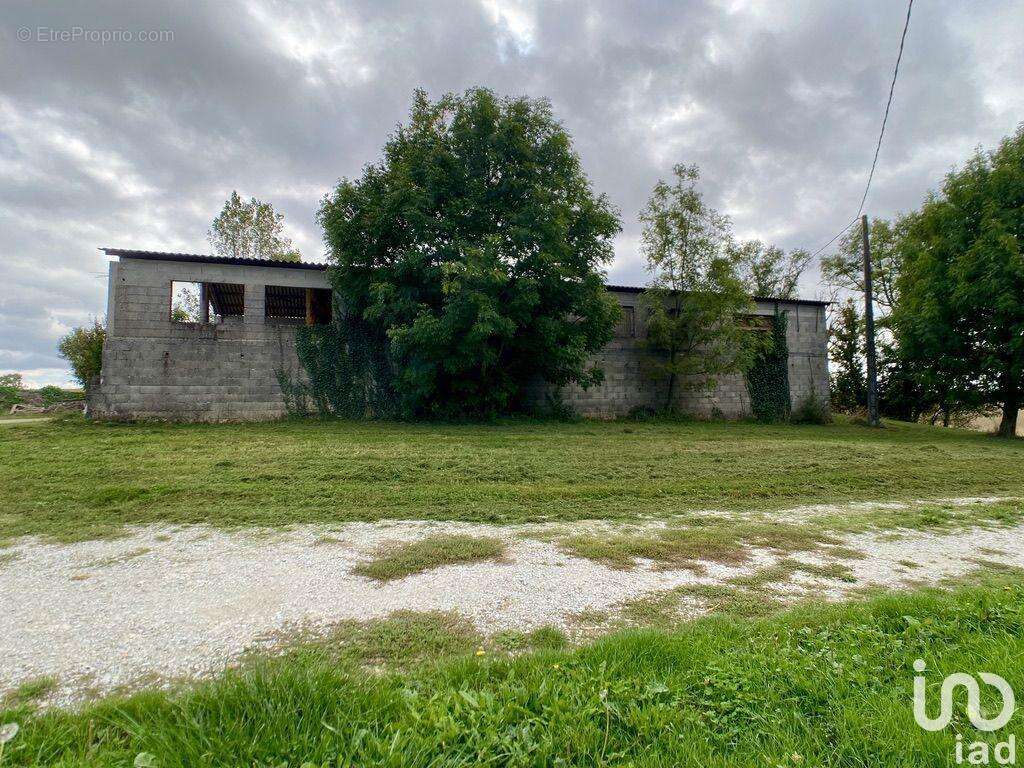 Photo 5 - Commerce à SAINT-FELIX-LAURAGAIS