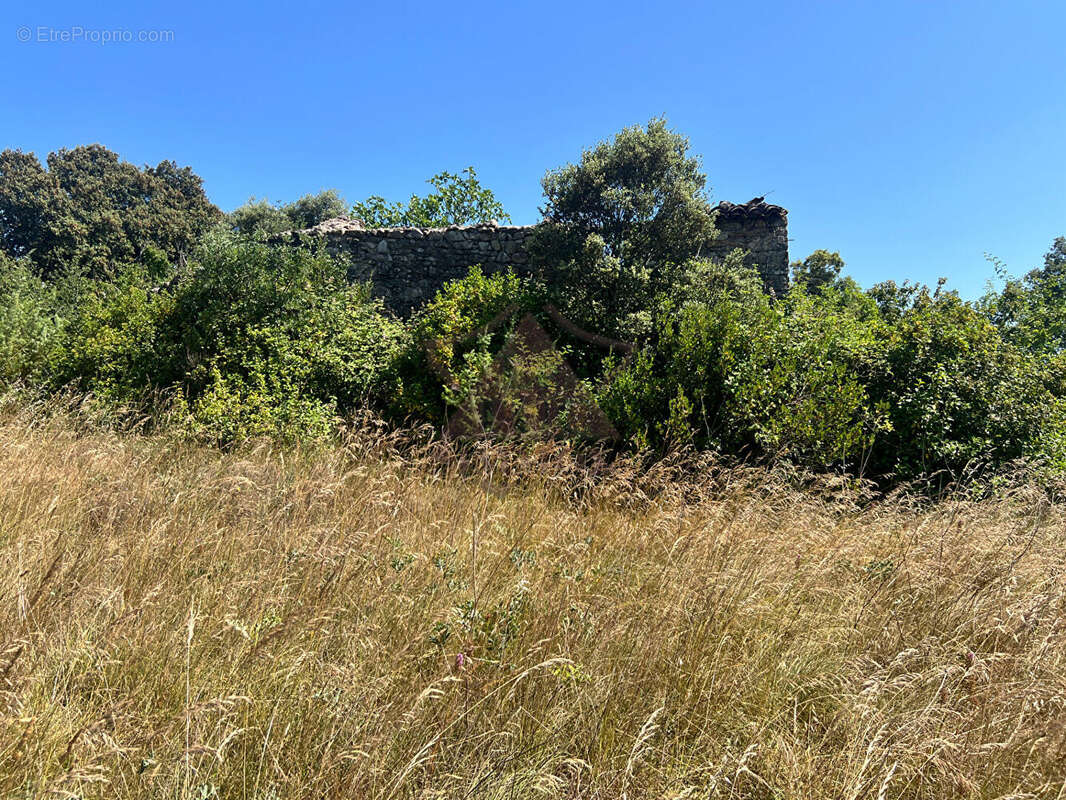 Terrain à SAINT-BRES