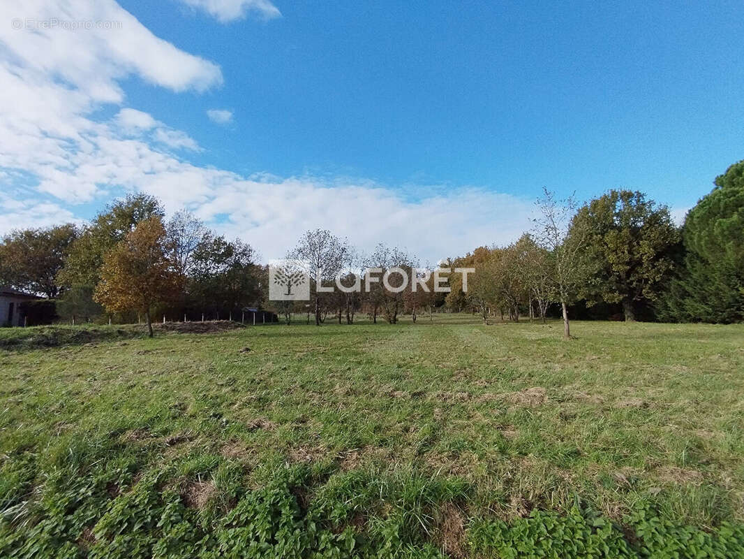 Terrain à CASTELSARRASIN