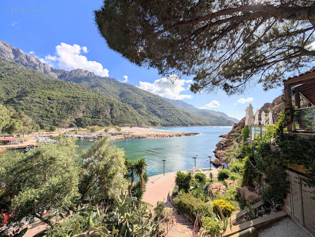 Vente : appart t2 vue fleuve et maquis porto ota - photo 3