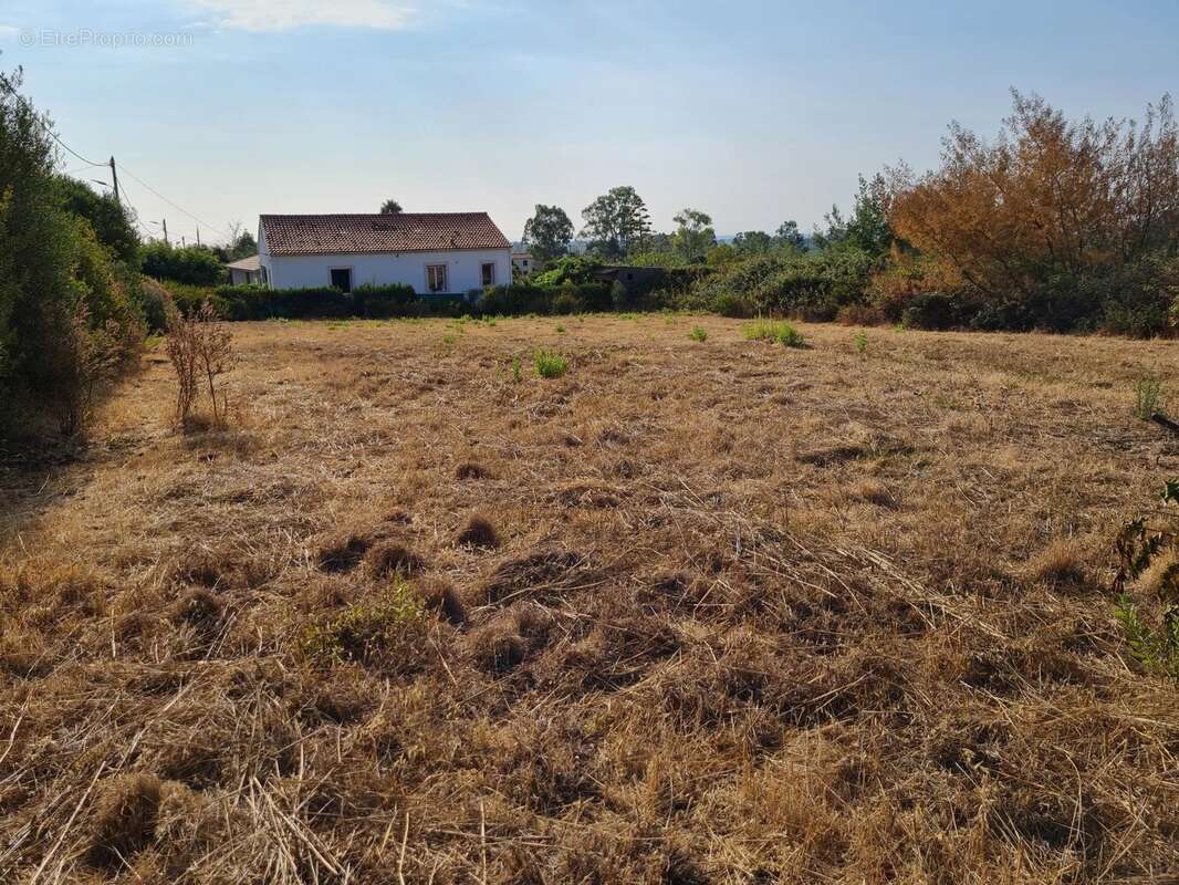 Exclusivité - pietroso  terrains a bâtir - photo 4