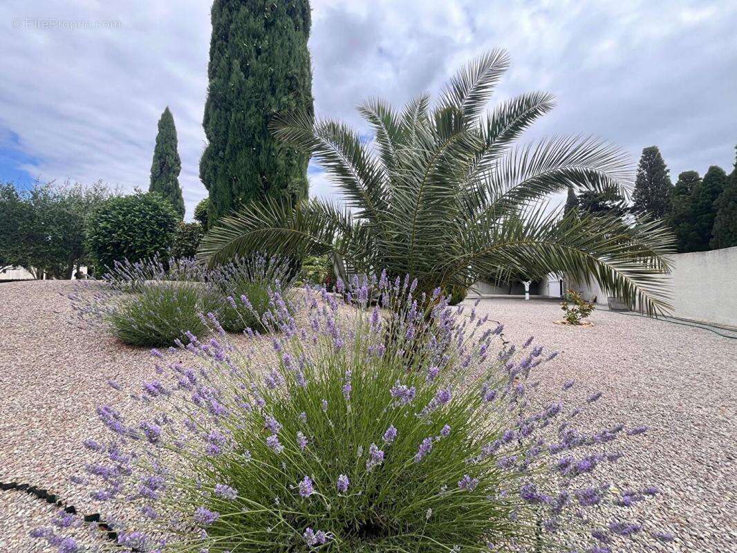 Vivre l'exception au quotidien : superbe villa de prestige - photo 14
