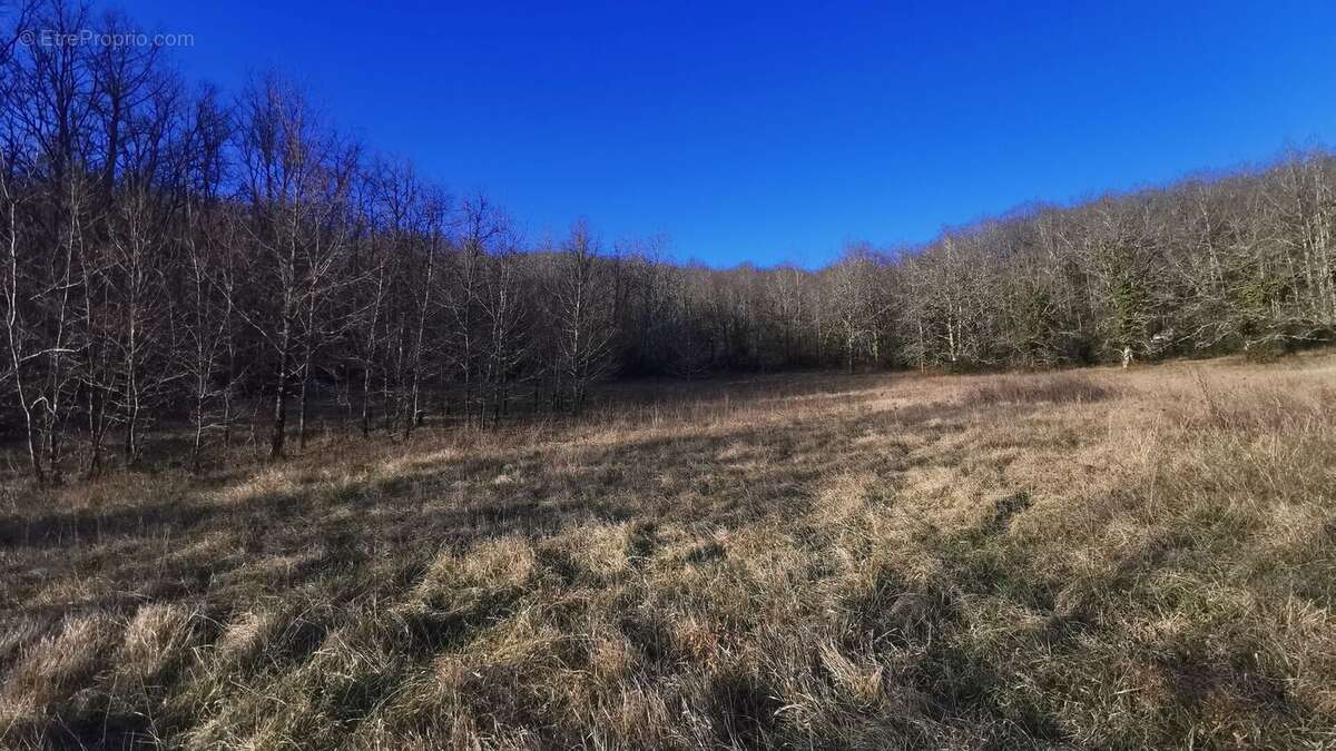 Terrain constructible - photo 4
