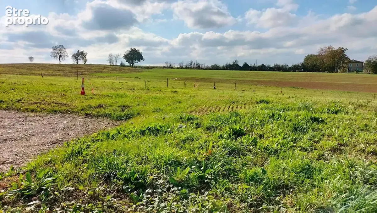 Terrain 1989m² Fleurance (32500) 843m² constructible - photo 11