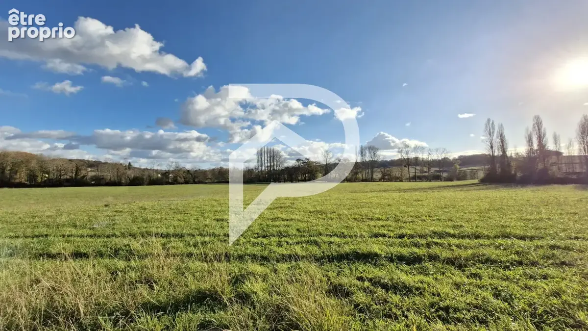 Propriété de 10 pièces 470 m², sur 10 Hectares ORTHEZ - photo 6