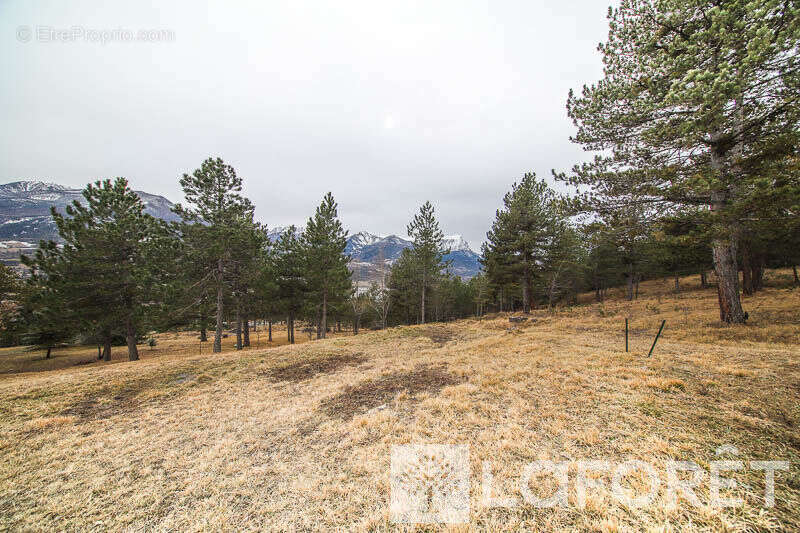 Terrain à EMBRUN