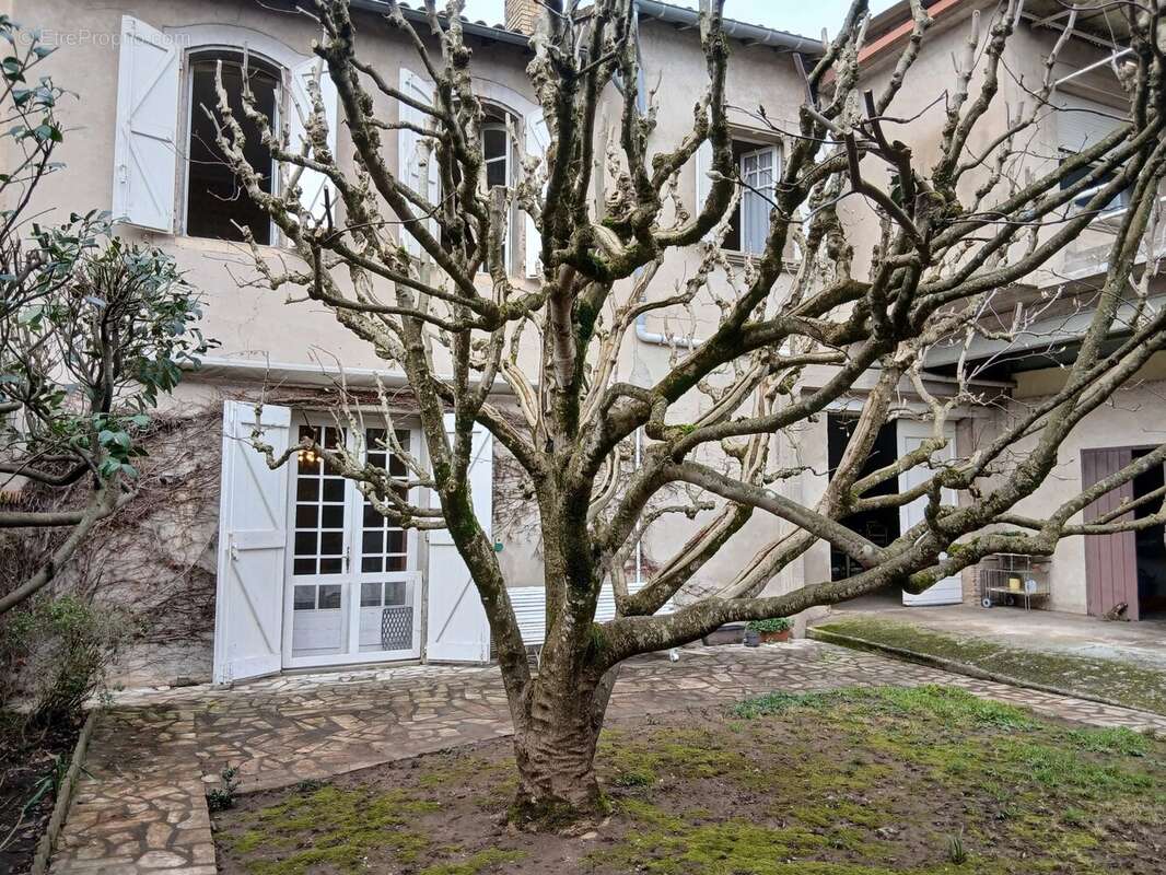 Maison à GAILLAC
