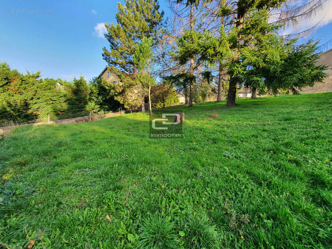 Terrain à CURIS-AU-MONT-D'OR