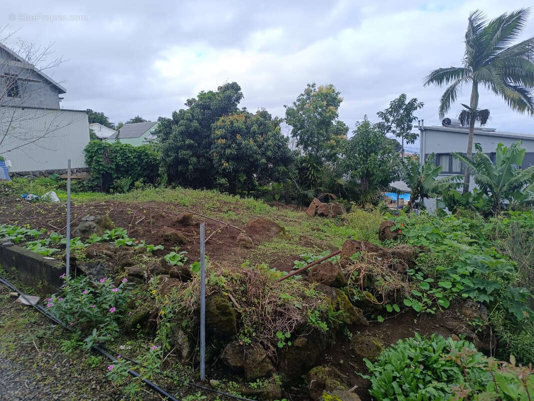 Terrain à SAINT-JOSEPH