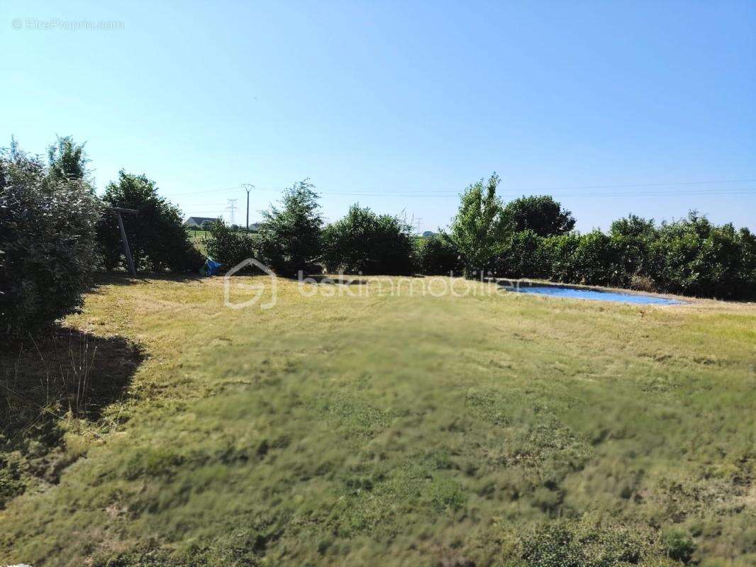 Belle Maison - photo 10