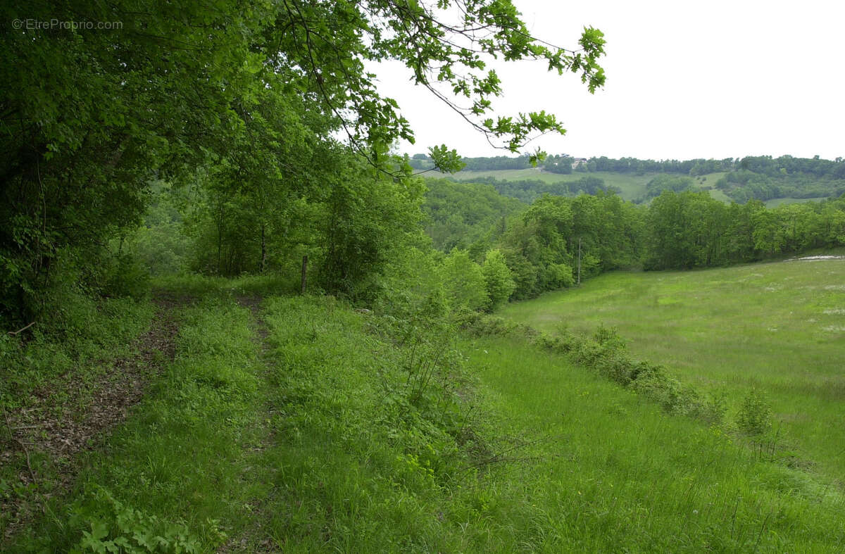 Ancienne ferme avec bois et prairies - photo 13