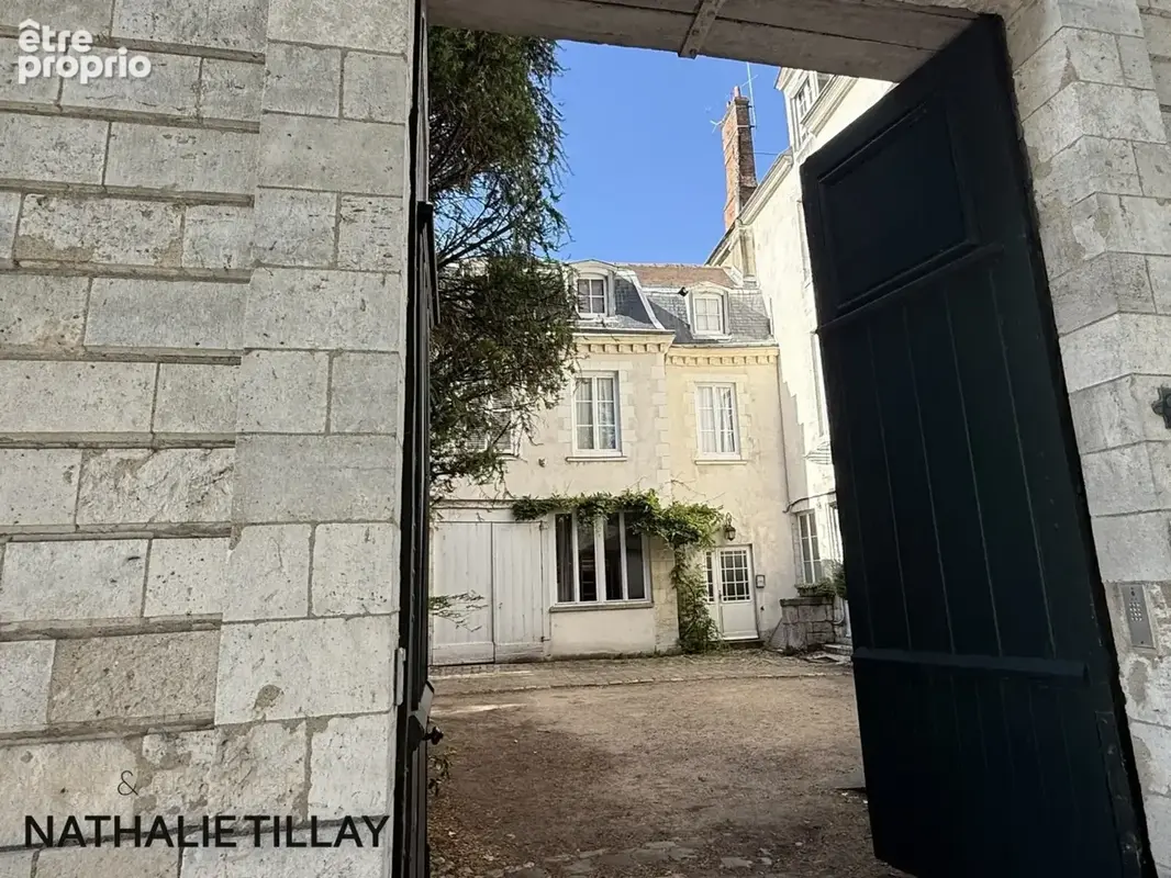 Appartement esprit loft, a vendre, Face Loire Orleans, dernier etage en hotel particulier - photo 17