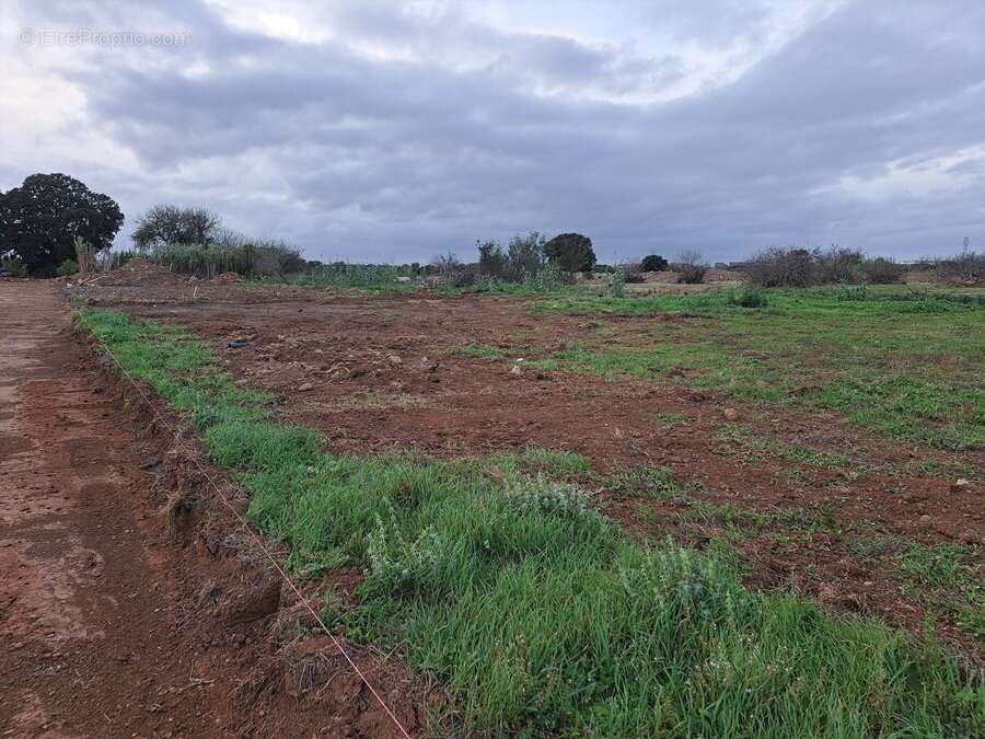 Terrain à FOS-SUR-MER