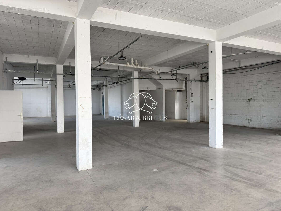 Commerce 2300 m² à Decines-Charpieu  - photo 5